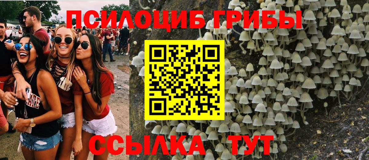 Галлюциногенные грибы GOLDEN TEACHER  Галлюциногенные грибы мухоморы  Вход с VPN  Егорьевск 
